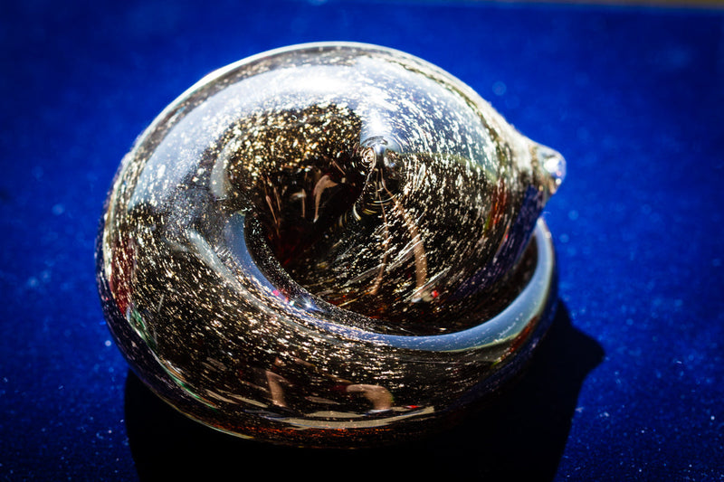 sleeping memorial cat